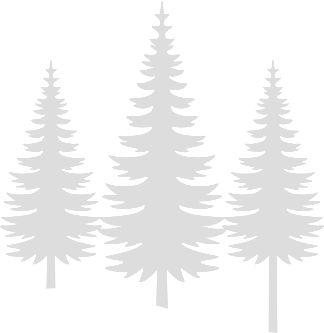 absolute